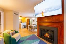 LuxStayUSA | Ballhooter Vista (AS 328–330)